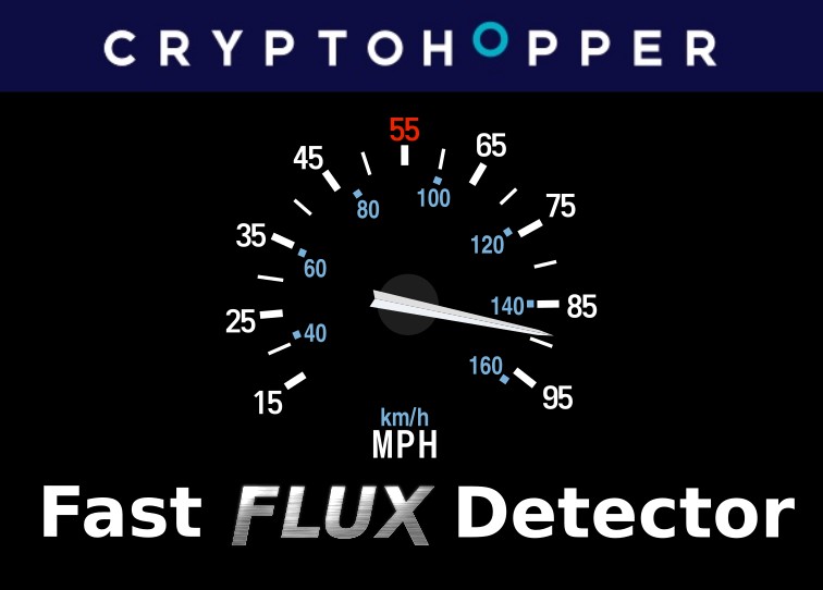 Fast Flux Detector